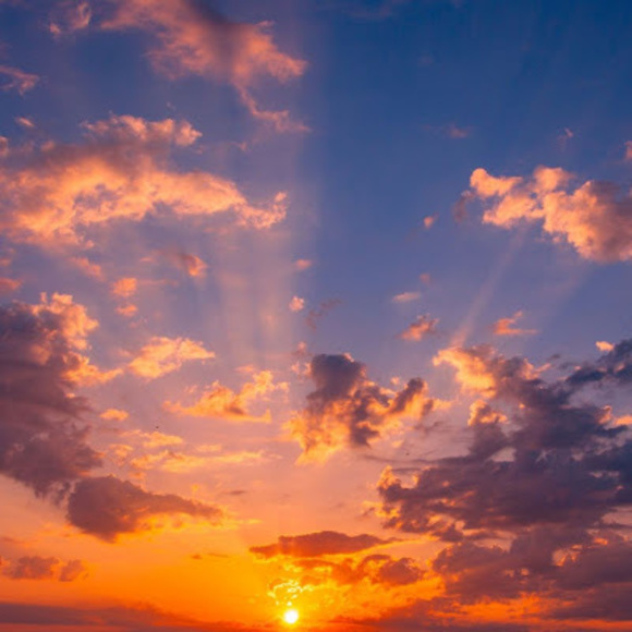 Meet your Posher, Kylie - Picture 1 of 1